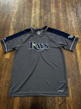 Majestic Cool Base Tampa Bay Rays V-Neck Performance Shirt, Size L